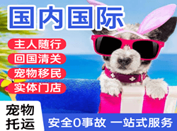 潍坊航空托运国际宠物托运 【国